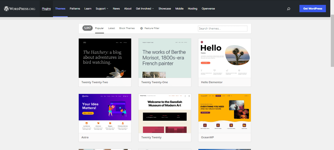 wix vs wordpress design options