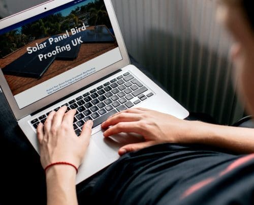 website-design-project