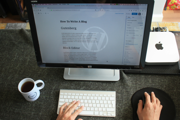A person using the gutenburg builder of WordPress