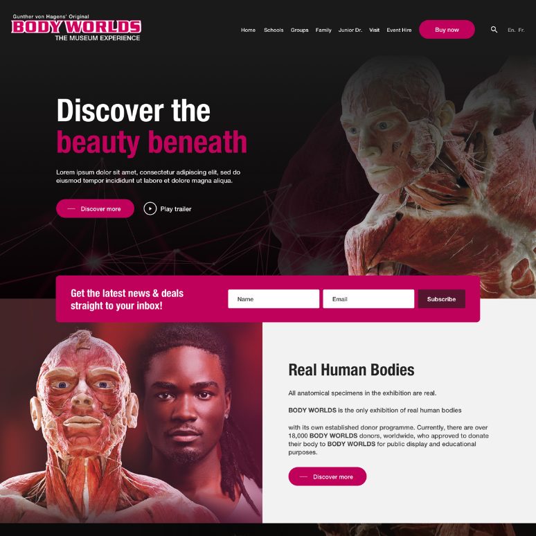 Body World London - Homepage Design by Cude